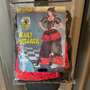 Queen Of Hearts/ Heart Breaker Spirit Halloween costume